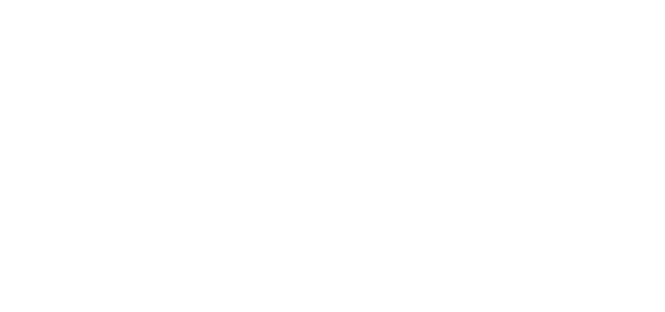 VORACITY